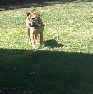 Meet your Posher, Louisa